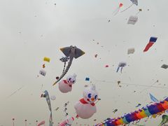 -潍坊滨海云门国际风筝放飞场