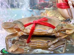 -聚鲜阁海鲜美食城(香水湾店)