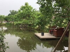 -洪湖家庭农场·团建·露营·会议