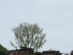 -王莽岭风景区