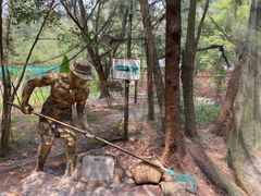 -北海金海湾红树林生态旅游区
