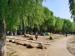 -丁香湖公园