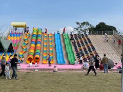 -长洲岛都市农业公园