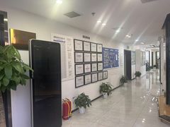 -新航道·雅思托福·Alevel AP·留学考研(光谷校区)