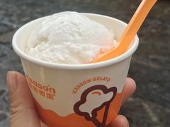 -iceason爱茜茜里·意大利健康冰淇淋(骑龙巷店)
