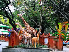 -晓港公园