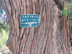 -锦屏山旅游度假区