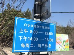 -白水寺森林公园
