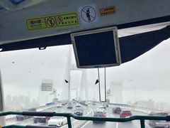 -BUS TOUR观光巴士