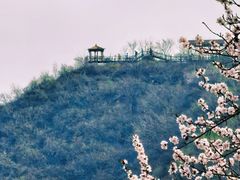 -大岭沟猕猴桃谷风景区