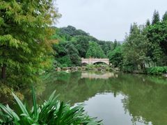 -云溪植物园