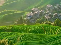 -龙脊梯田风景名胜区游客中心-停车场