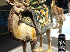 -陕西历史博物馆