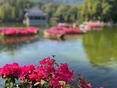 -广州市白云山风景名胜区