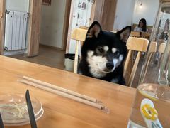-柴の食堂·日式家庭料理·熊之肆(大学路店)