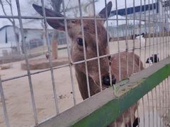 -武汉紫薇都市田园