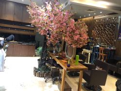 -红人馆造型世爵国际