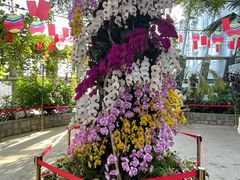 -北京植物园-展览温室