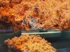 -湖南省地质博物馆