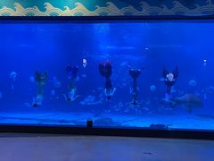 -烟台海昌鲸鲨海洋公园