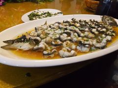 -呼吸森林·生态农庄农家乐私房菜