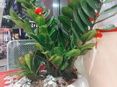 -刘二永香羊肉面庄(长安店)