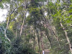 -中国花亭湖风景名胜区-西风禅寺