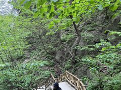-洛阳白云山景区