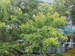 -筱爷叔·上海传统手工菜(新桥店)
