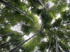 -同里国家湿地公园