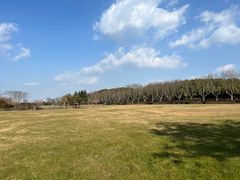 -宜兴龙背山森林公园
