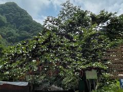-西安祥峪森林公园