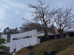 -凤阁楼果木烧鹅(鹤山陈山店)