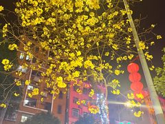 -荔枝公园-小平画像广场