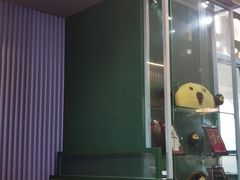 -椰小鸡·琼州糟粕醋·火锅(美兰缤纷城店)