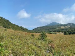 -白草畔自然风景区