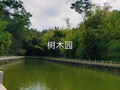 -中山市树木园
