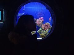-南昌海洋公园