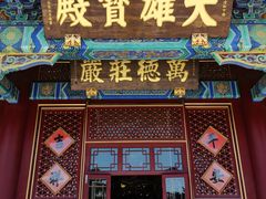 -天津大悲禅院