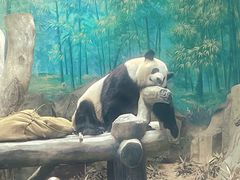 -灵玲国际马戏城