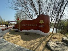 -泗洪洪泽湖湿地景区