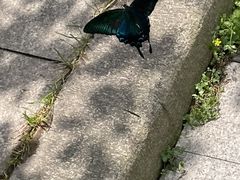 -崂山九水游览区