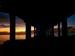 -宝安西湾红树林湿地公园