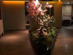 -东方棕泉·洗浴·按摩·美食国际水疗会所(福田店)