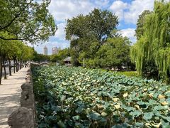 -南通濠河风景名胜区