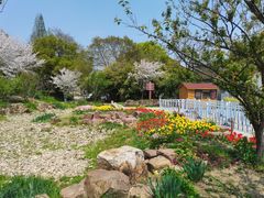 -苏州上方山国家森林公园