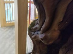 -九田家黑牛烤肉料理(中北镇店)