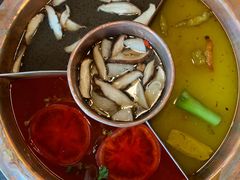 -滇釜火锅·能喝汤的火锅(车公庄店)