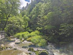 -茅兰沟国家森林公园