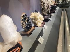 -湖南省地质博物馆